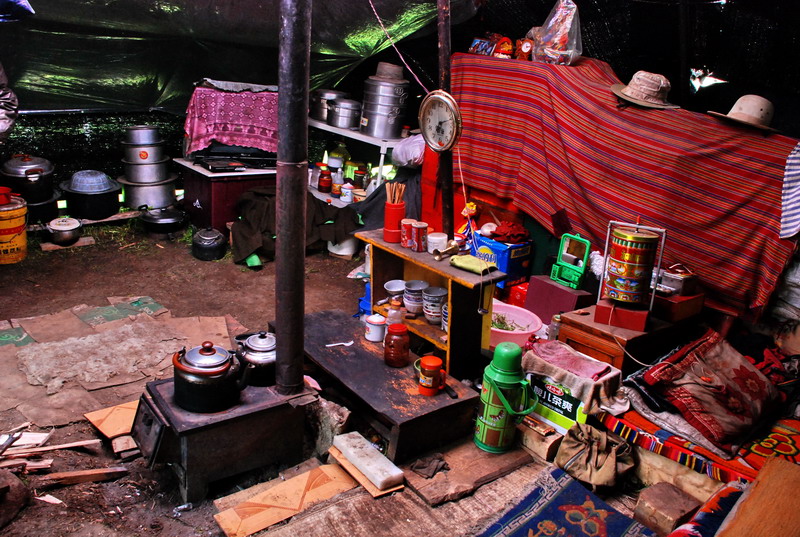 dsc_0110.jpg