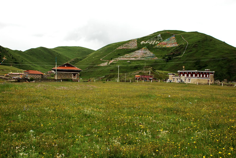 dsc_0132.jpg