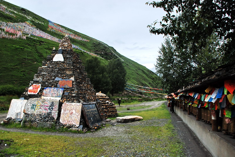 dsc_0157.jpg