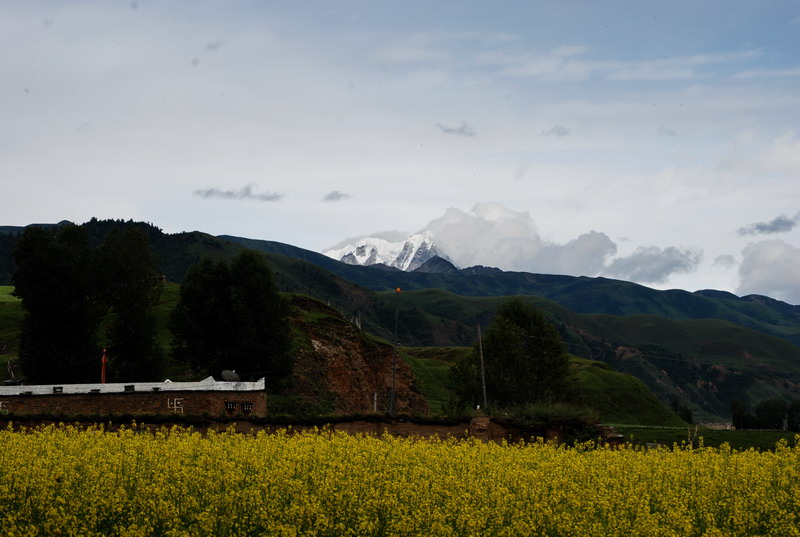 dsc_0180.jpg