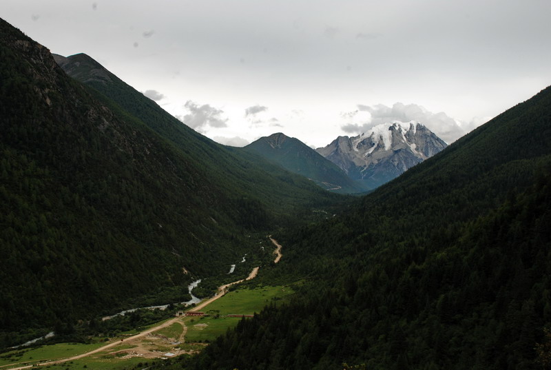 dsc_0181.jpg