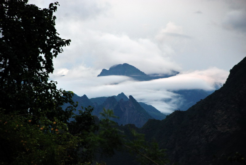 dsc_0196.jpg