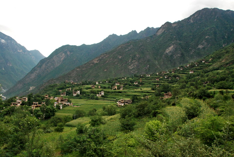 dsc_0223.jpg