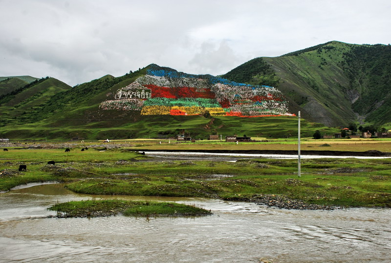 dsc_0469.jpg
