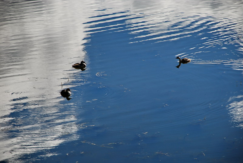 dsc_8235.jpg