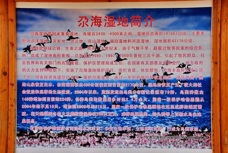 dsc_8310.jpg