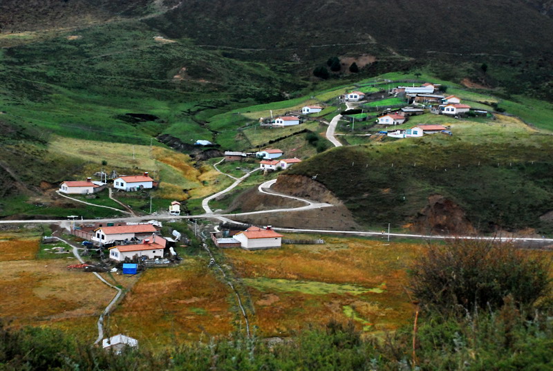 dsc_8374.jpg