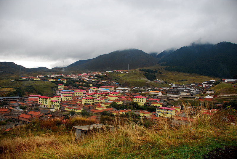 dsc_8422.jpg