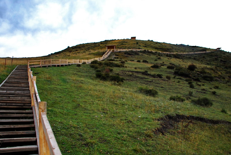 dsc_8330.jpg