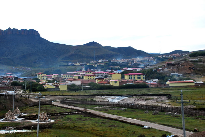 dsc_8331.jpg