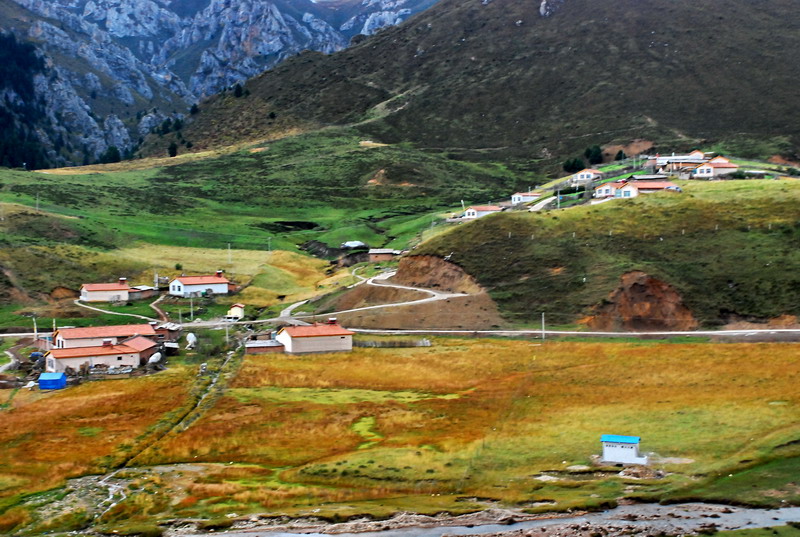 dsc_8338.jpg
