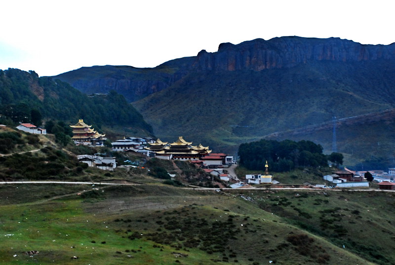 dsc_8367.jpg