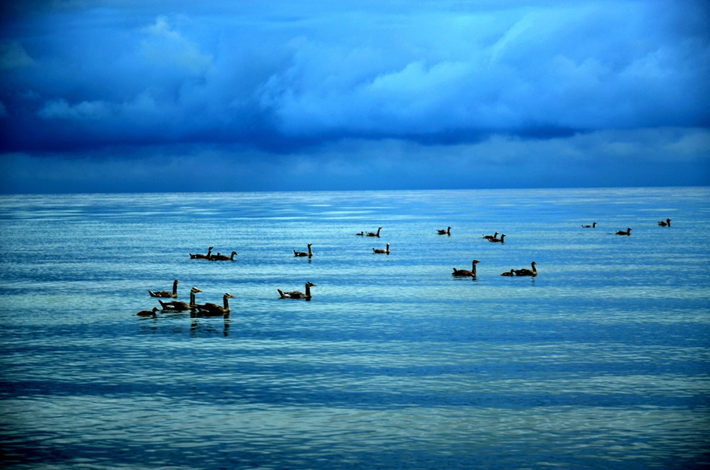 dsc_4612.jpg