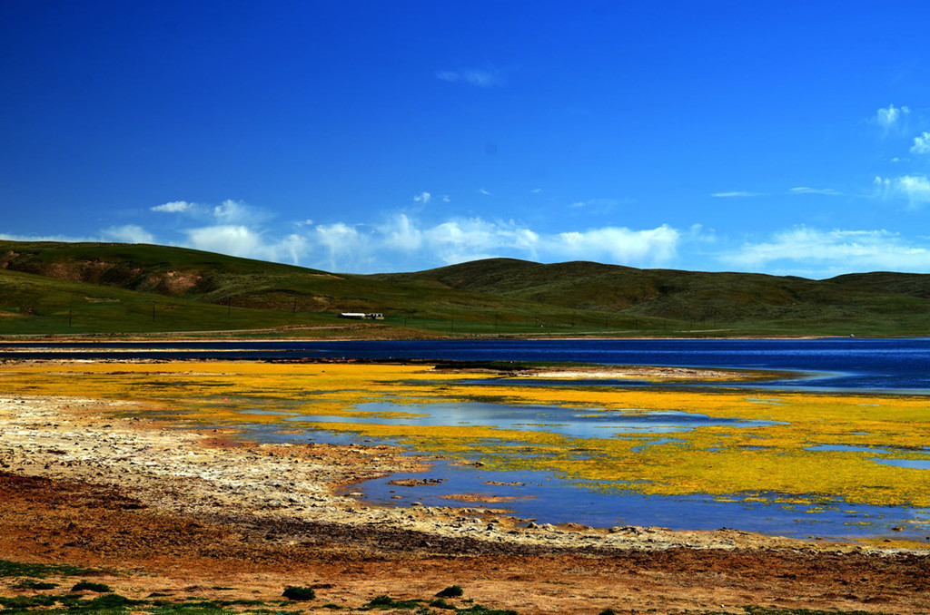 dsc_6709.jpg