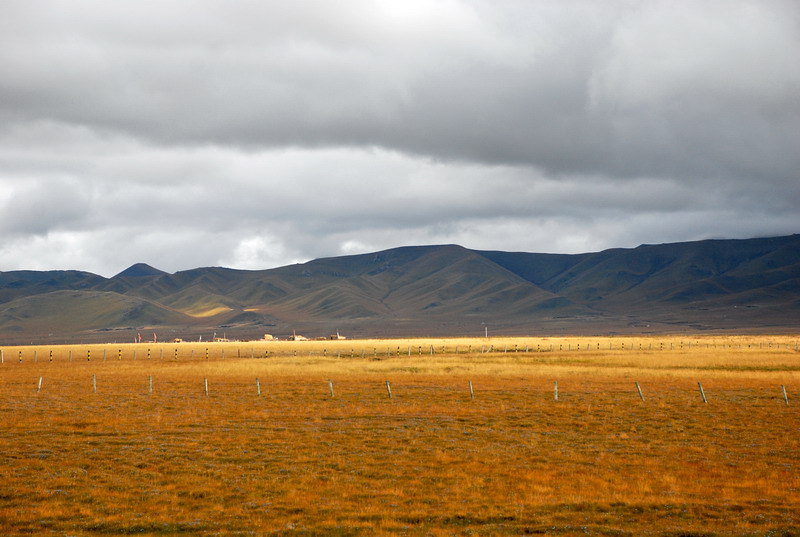 dsc_8469.jpg