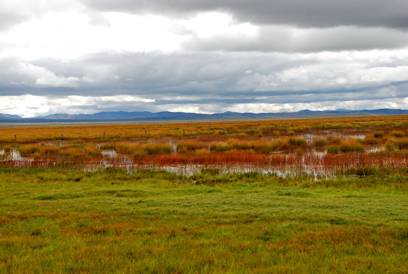dsc_8487.jpg