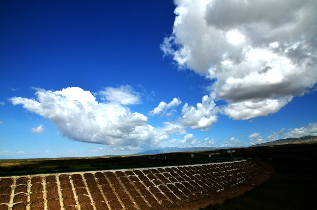 dsc_6344.jpg