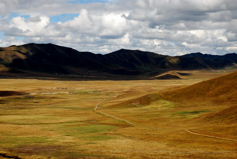 dsc_8734.jpg