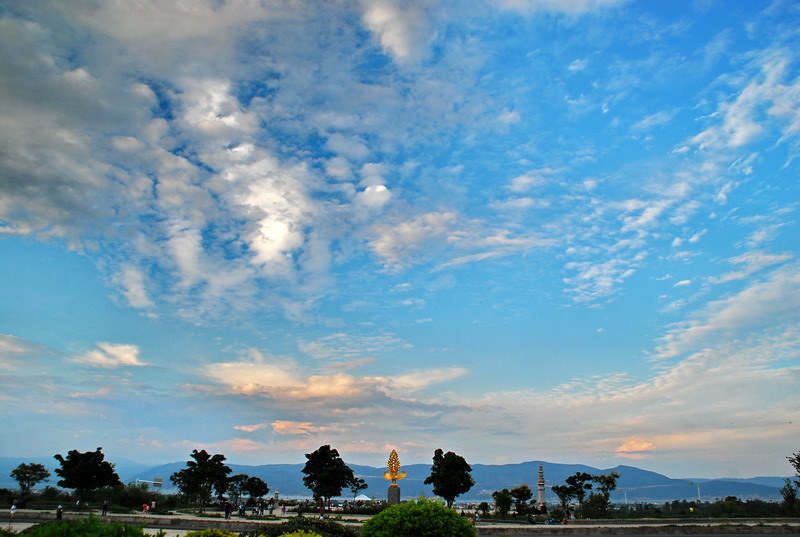 dsc_6986.jpg