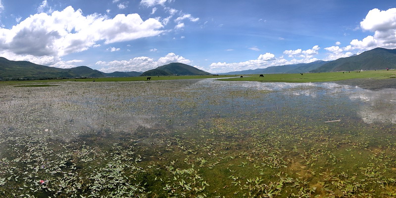 20150802_113123.jpg