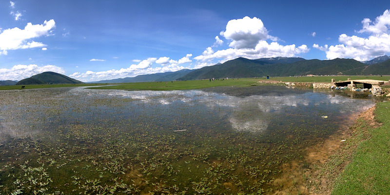 20150802_113614.jpg
