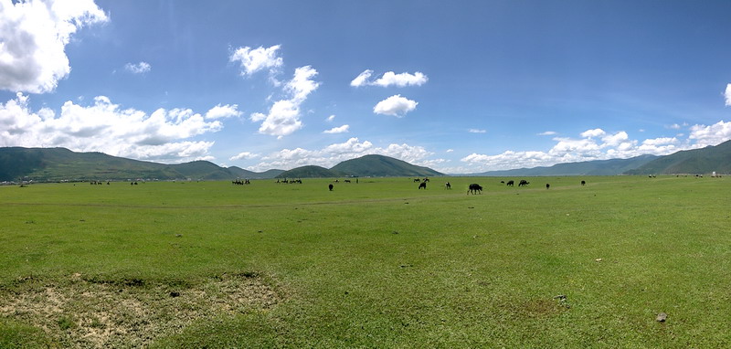 20150802_114334.jpg