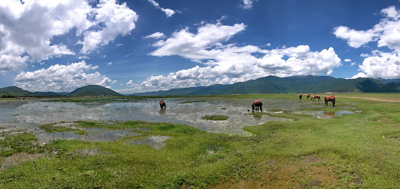 20150802_124834.jpg