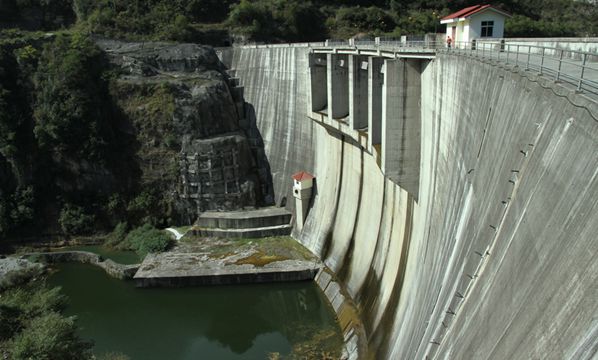 z6.jpg