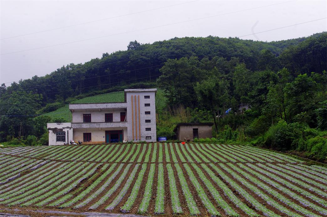 _igp7284.jpg