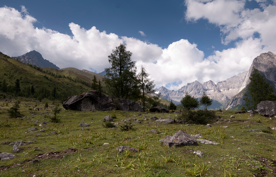 _dsc7562.jpg