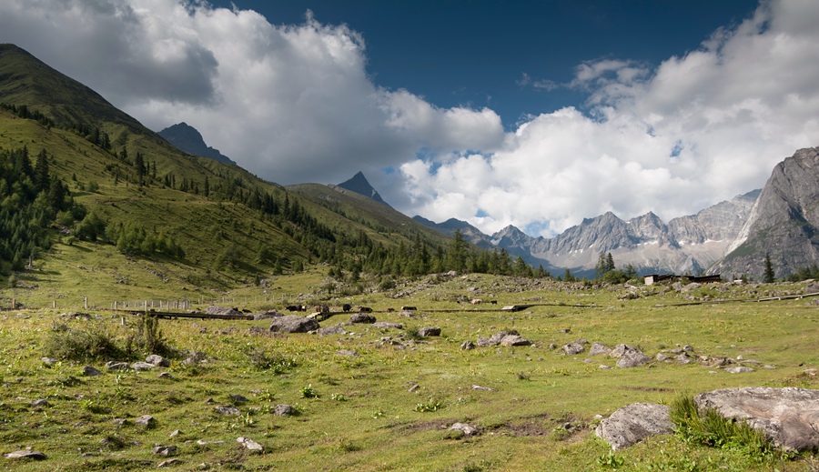 _dsc7582.jpg