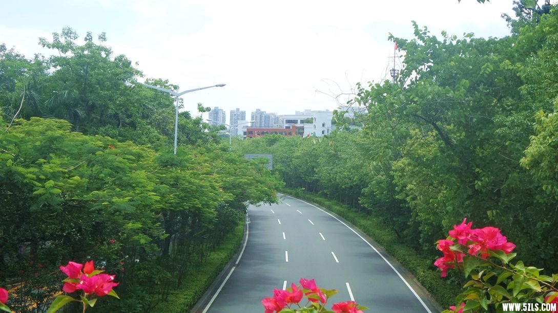 20150710_114320_.jpg