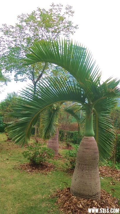 20151212_081407_.jpg