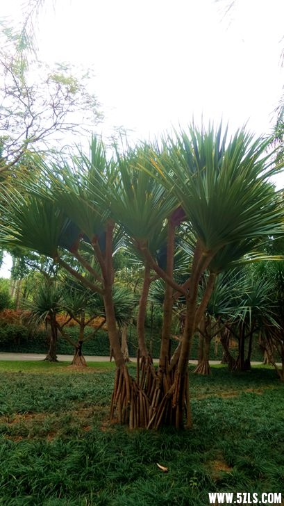 20151225_115122_.jpg