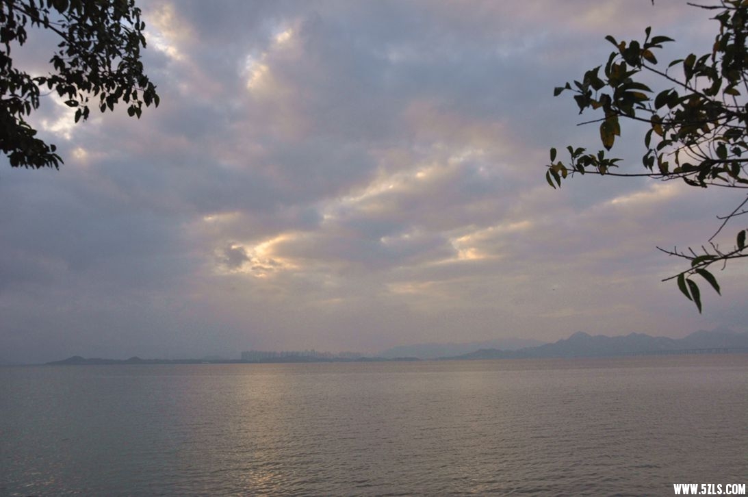 DSC_0018_.jpg
