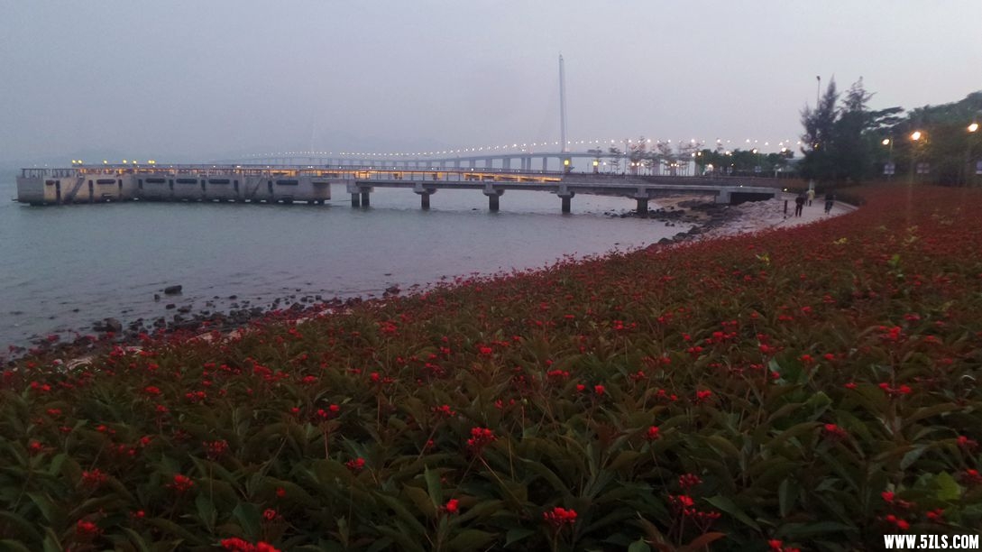 20151230_180216_.jpg