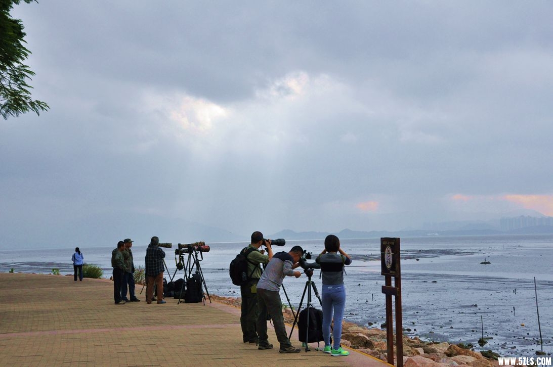 DSC_0265_副本.jpg