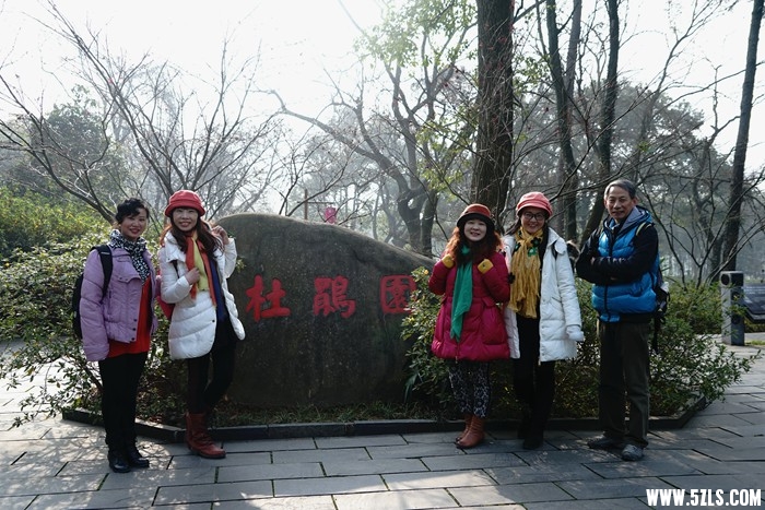 DSC07973.jpg