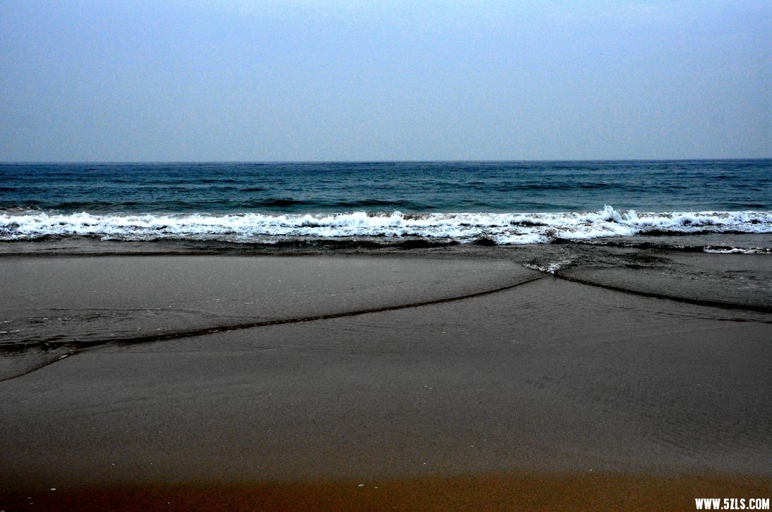 DSC_0796_.jpg