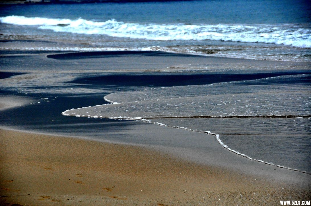 DSC_0795_.jpg