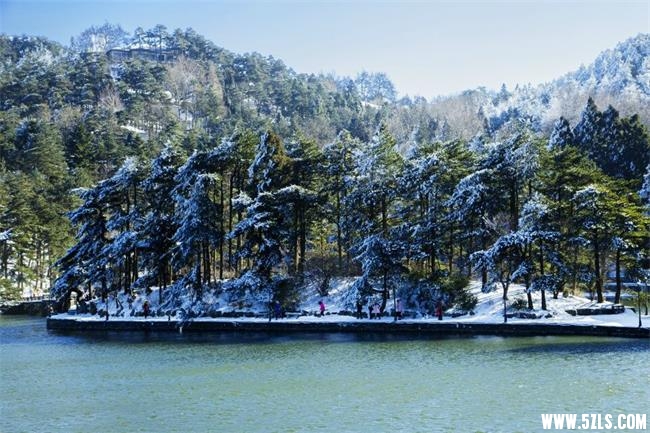 QQͼƬ20160129151020.jpg