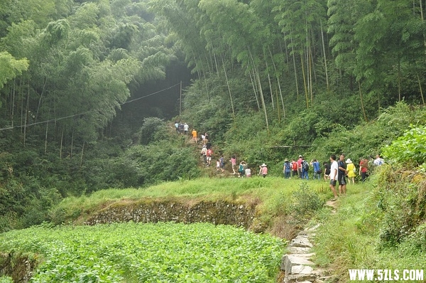 p1680389723.jpg