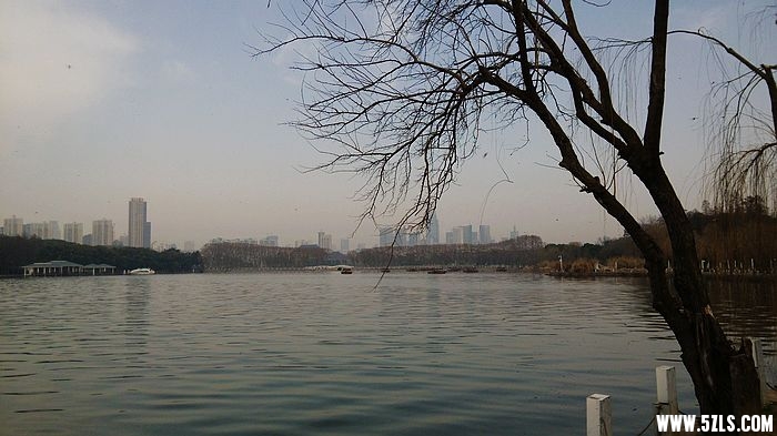 IMG_20160218_100413.jpg