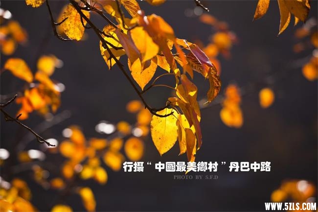 20121123194325944.jpg