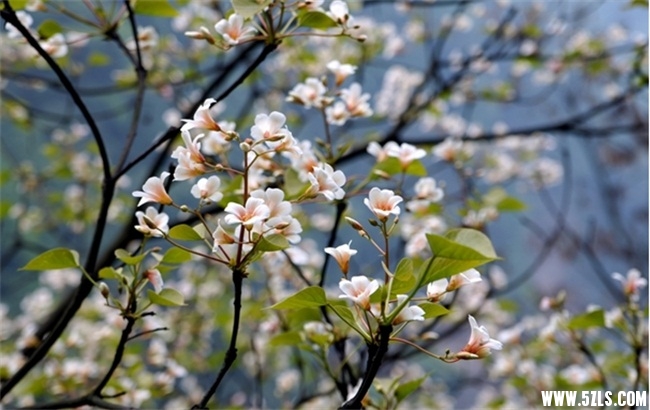 20110426035910603_9349.jpg