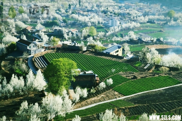 20130329112651_40299.jpg