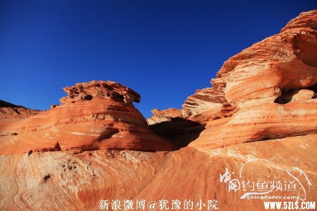 1_jooam__46_235660_6395f335d884ed6.jpg