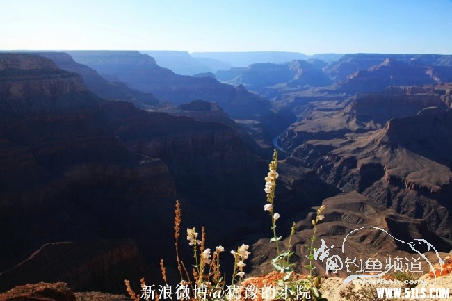 1_mc5nu__46_235660_9371dec54e926c0.jpg