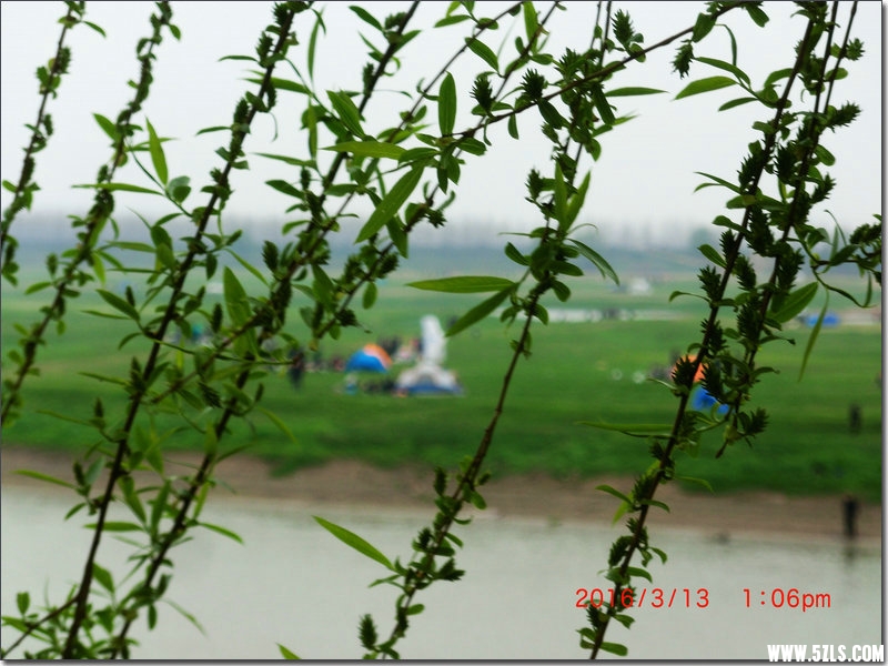 CIMG1657.JPG