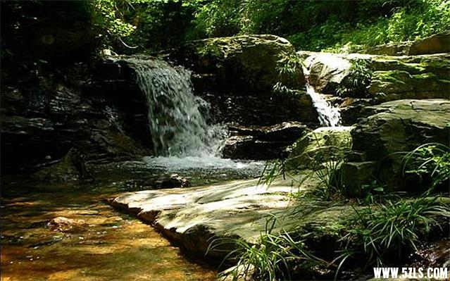 1069443_.320x240.jpg